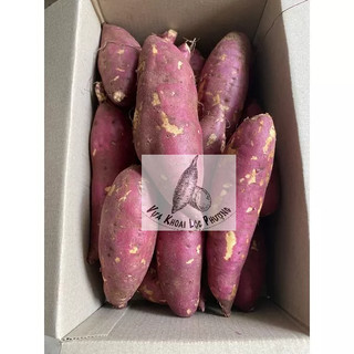 Khoai Lang Nhật Đà Lạt 1kg & 3kg [Hoả Tốc tại TpHCM].