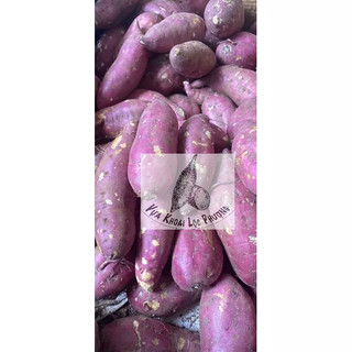 Khoai Lang Nhật Đà Lạt 1kg & 3kg [Hoả Tốc tại TpHCM].