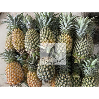[GIAO HOẢ TỐC TPHCM] Thơm (dứa) 1 trái (Pineapple)