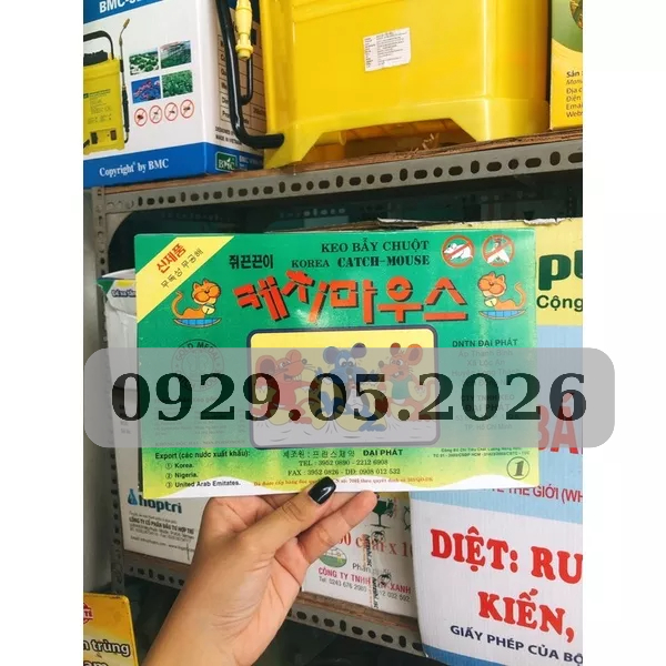 2 miếng bả dính chuột ( bằng giấy) - siêu dính - không mùi - không độc hại