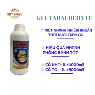 Sản phẩm glutaraldehyte diệt ký sinh trùng, vi khuẩn, nấm, thối đuôi trên cá - thủy sản 247