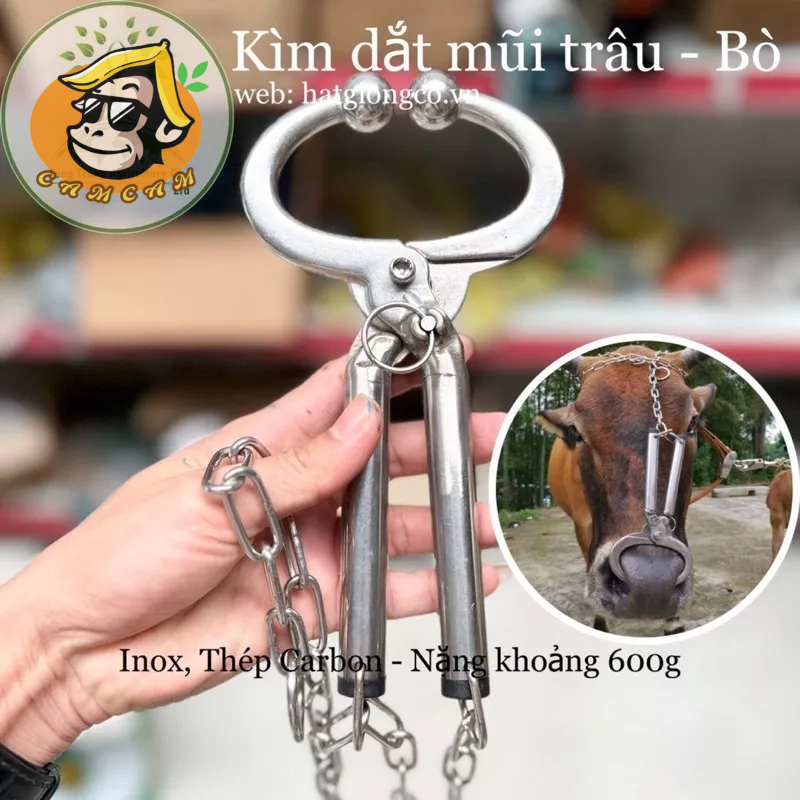 Kìm bấm mũi bằng thép tạo lỗ xâu mũi cho gia súc bò trâu