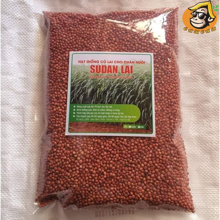 HẠT GIỐNG CỎ SUDAN LAI GIỐNG CỎ NGÔ GÓI 1kg và 500g GIÁ RẺ