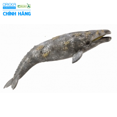 Mô hình động vật: Cá voi xám