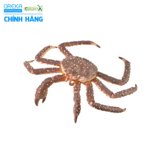 Mô hình động vật: Cua Hoàng Đế