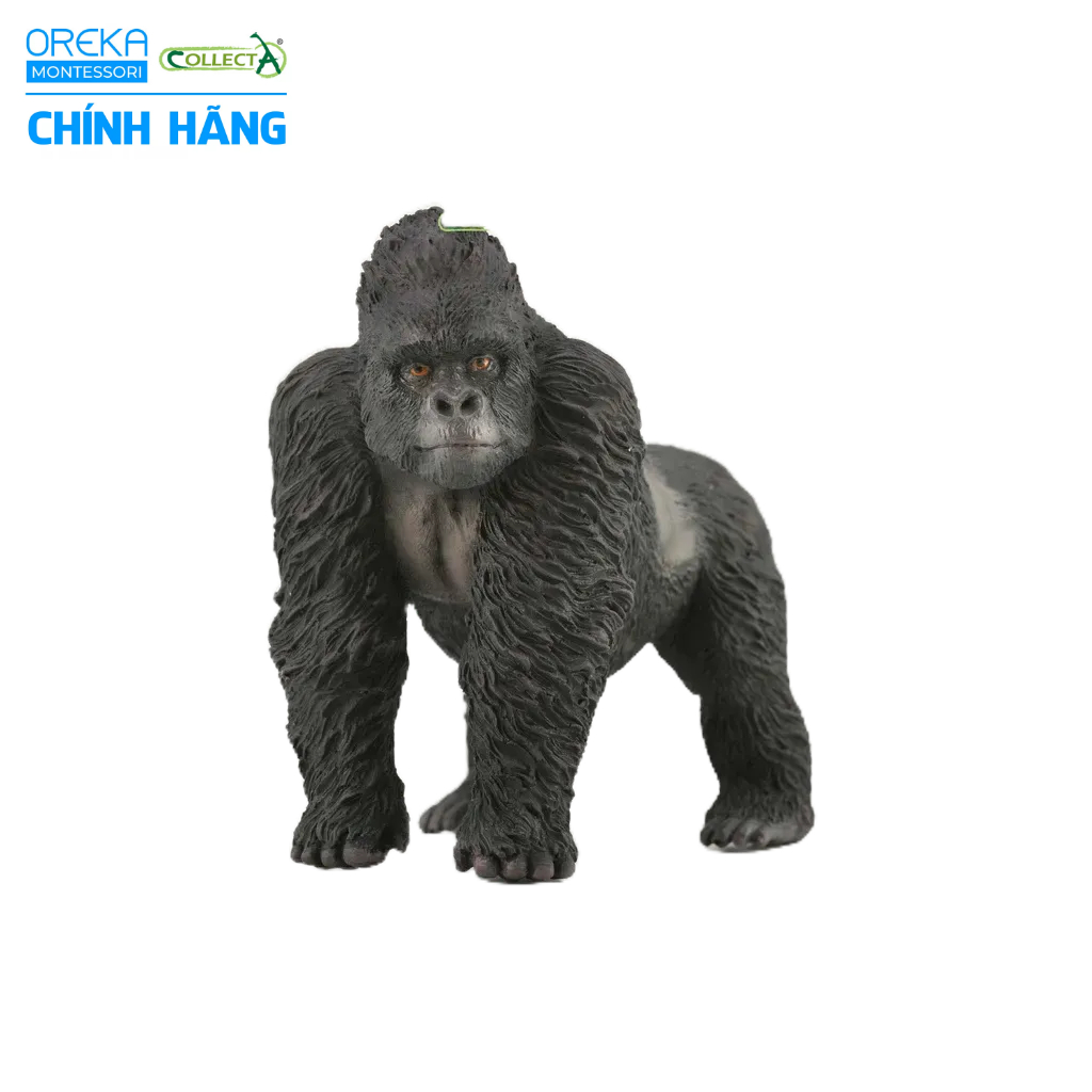 Mô hình động vật: Khỉ Đột Núi