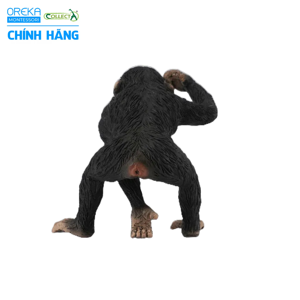 Mô hình động vật: Tinh Tinh bố