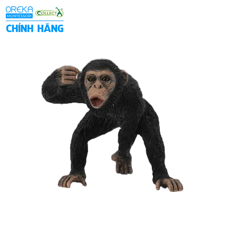 Mô hình động vật: Tinh Tinh bố