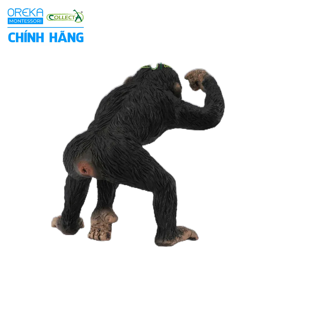 Mô hình động vật: Tinh Tinh bố