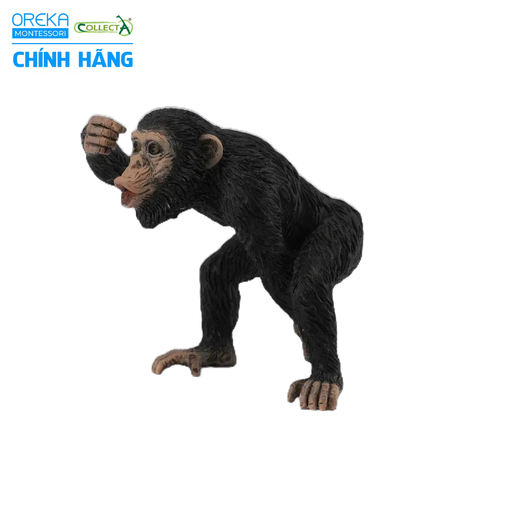 Mô hình động vật: Tinh Tinh bố