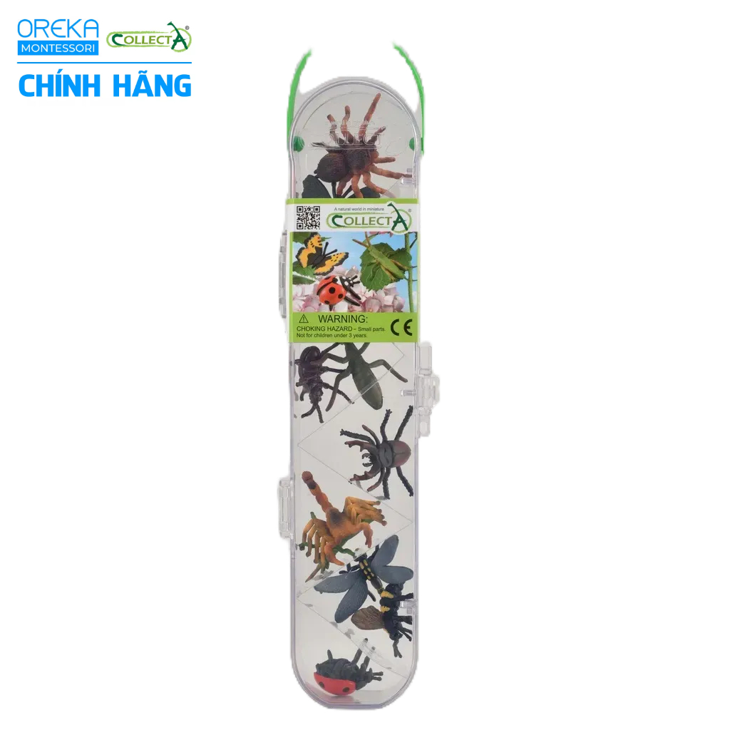 Mô hình động vật: Bộ Côn Trùng