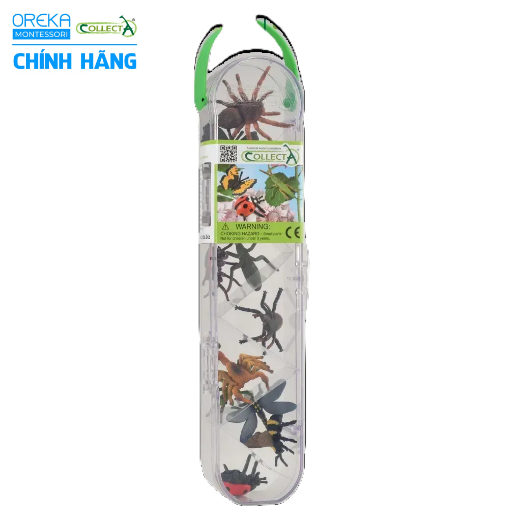 Mô hình động vật: Bộ Côn Trùng