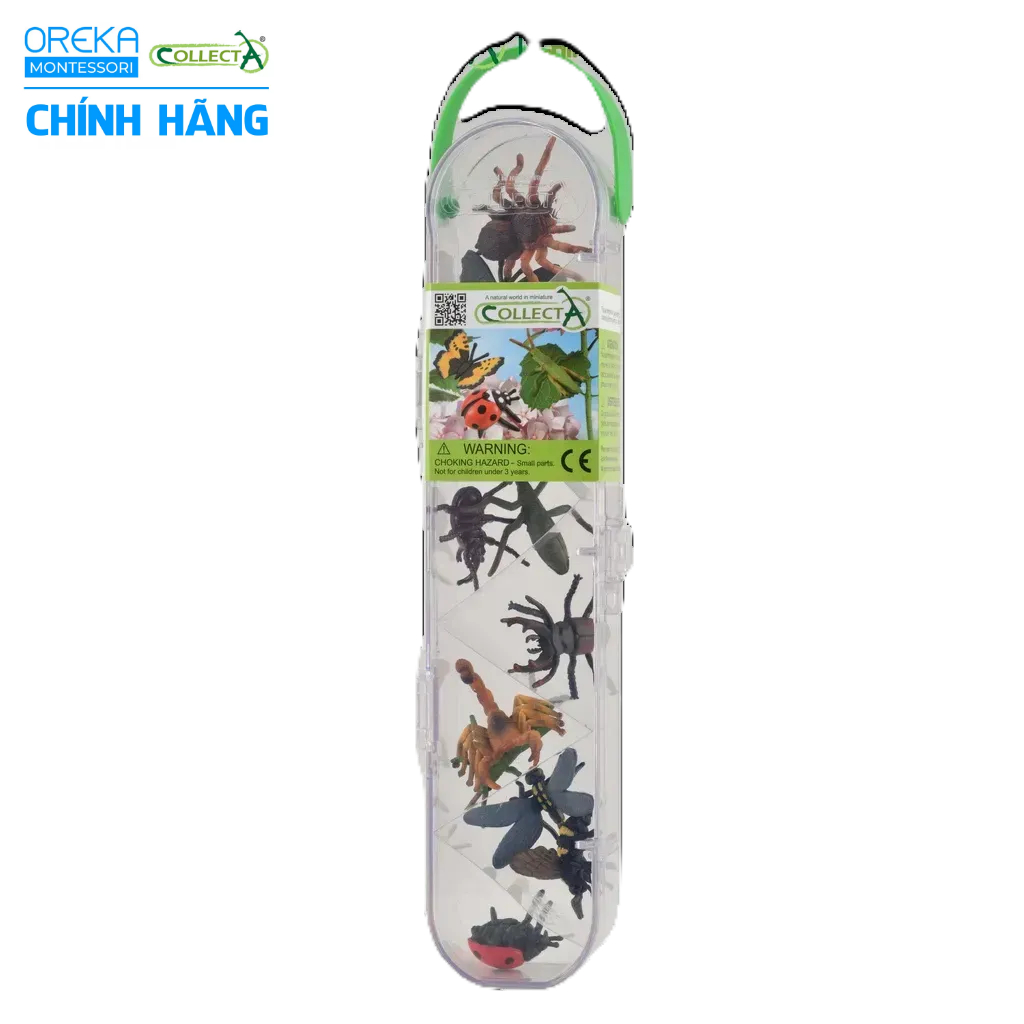 Mô hình động vật: Bộ Côn Trùng