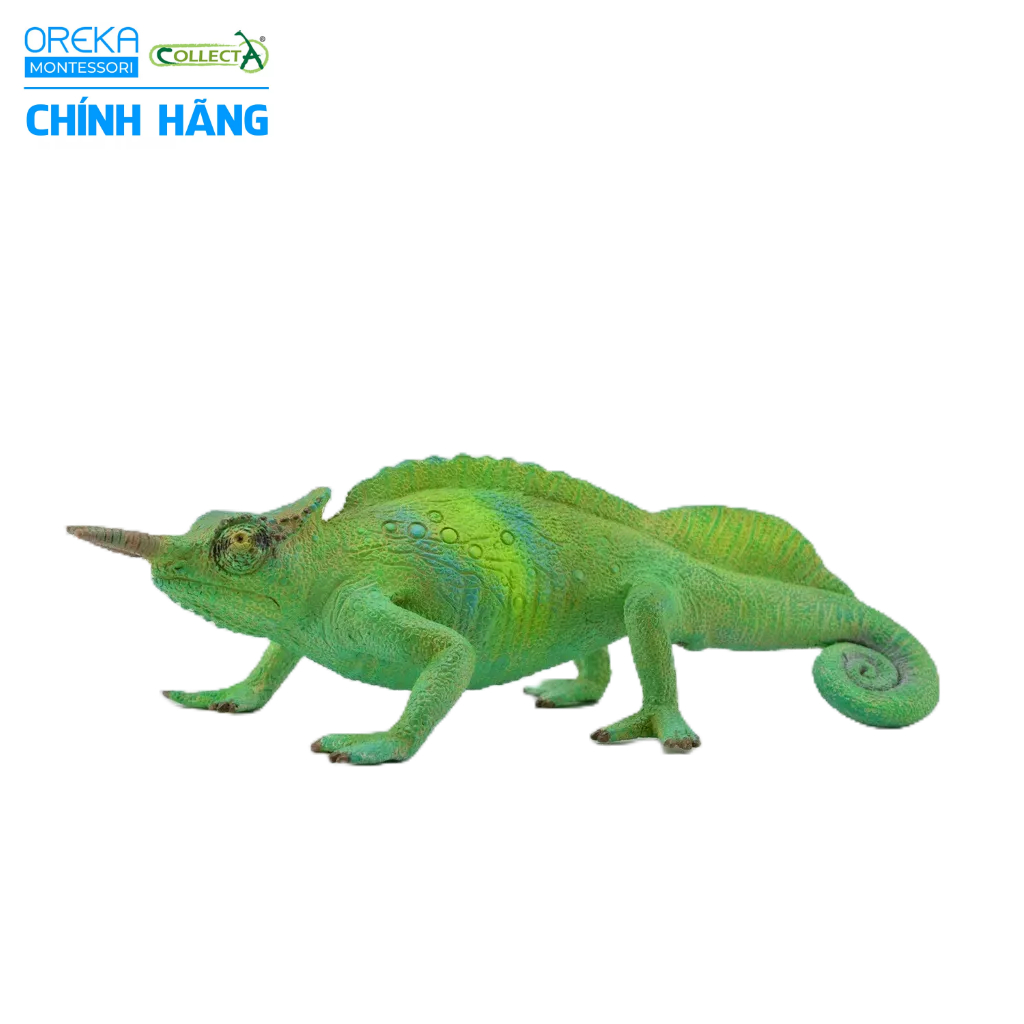 Mô hình động vật: Tắc Kè Cameroon Sailfin