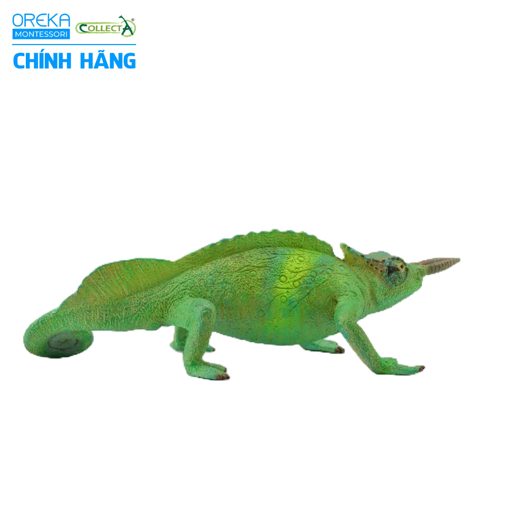 Mô hình động vật: Tắc Kè Cameroon Sailfin