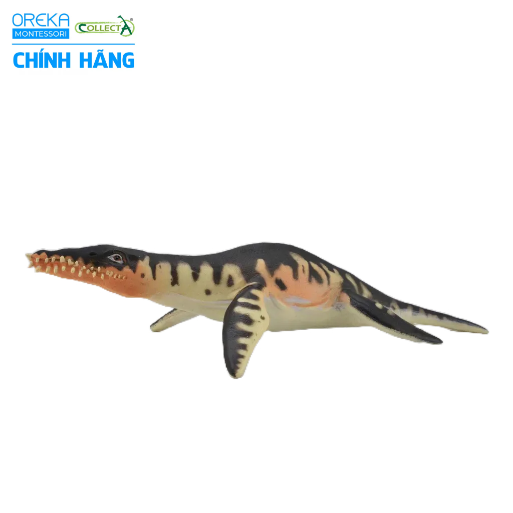 Mô hình động vật: Khủng Long Liopleurodon
