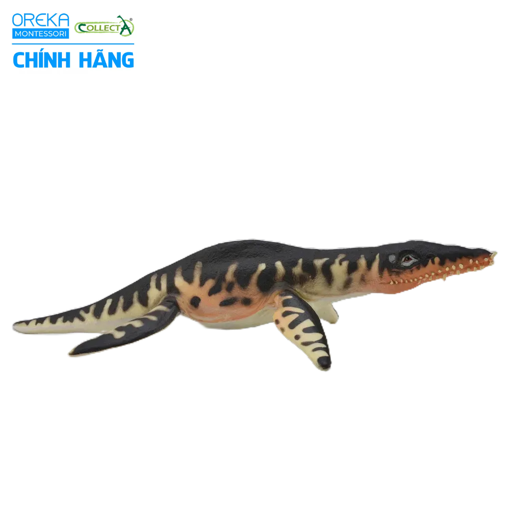 Mô hình động vật: Khủng Long Liopleurodon