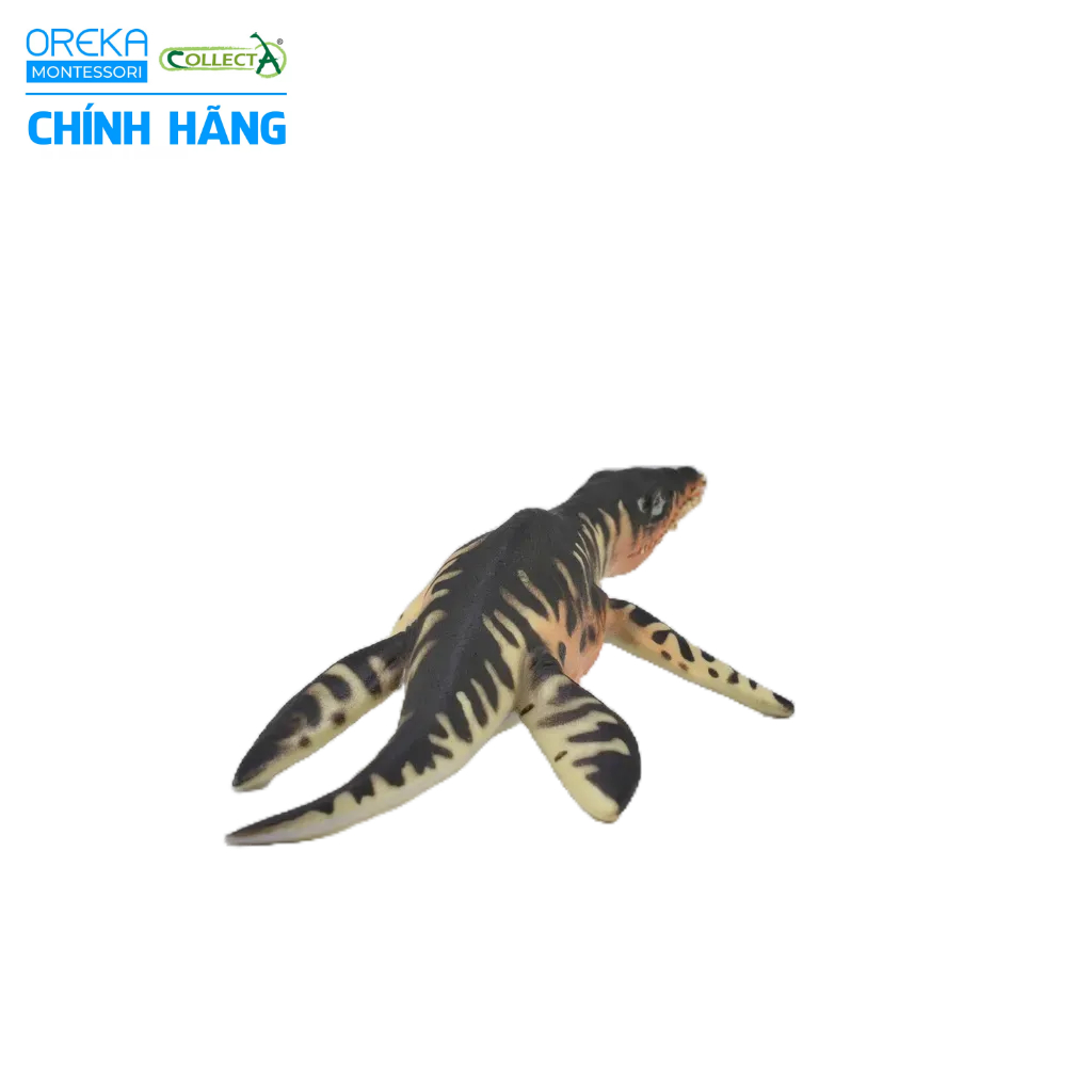 Mô hình động vật: Khủng Long Liopleurodon