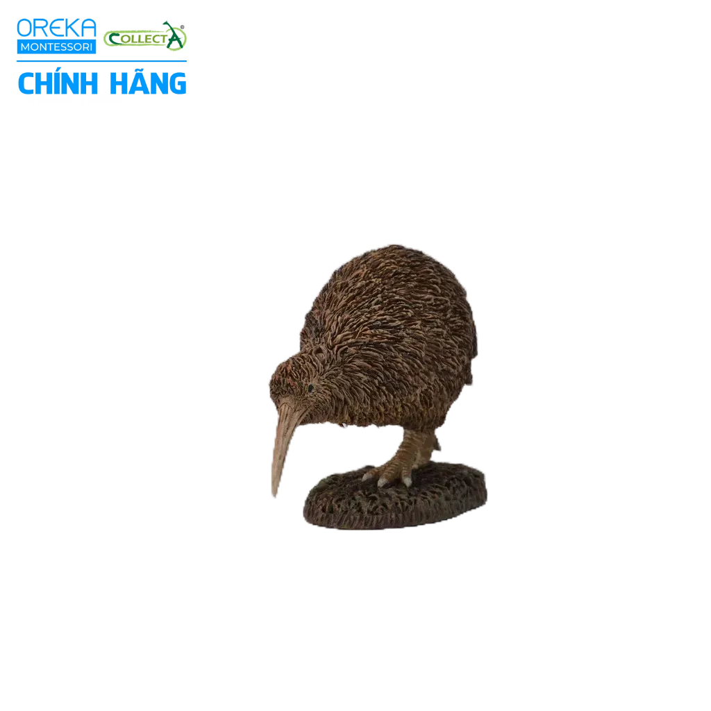 Mô hình động vật: Kiwi