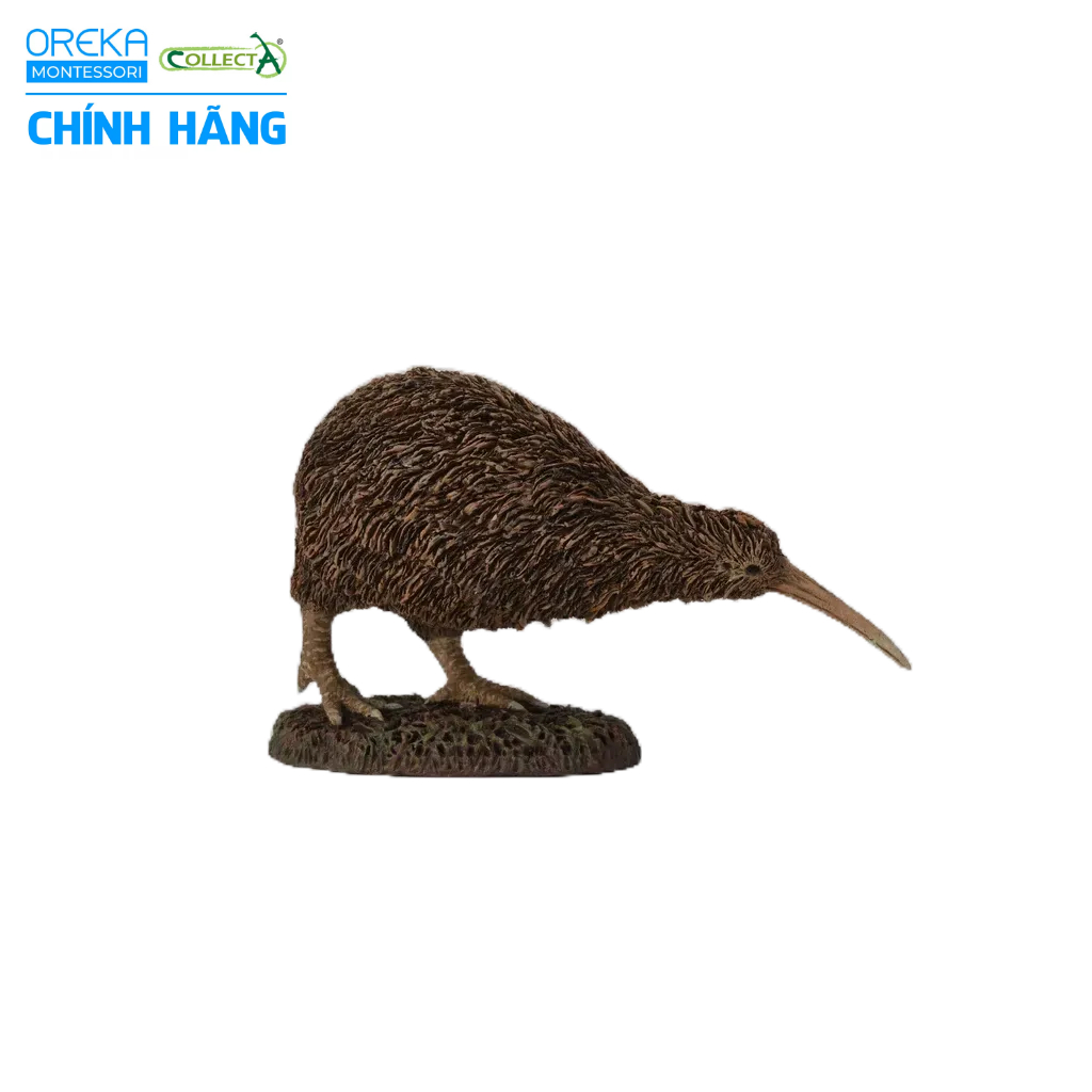 Mô hình động vật: Kiwi