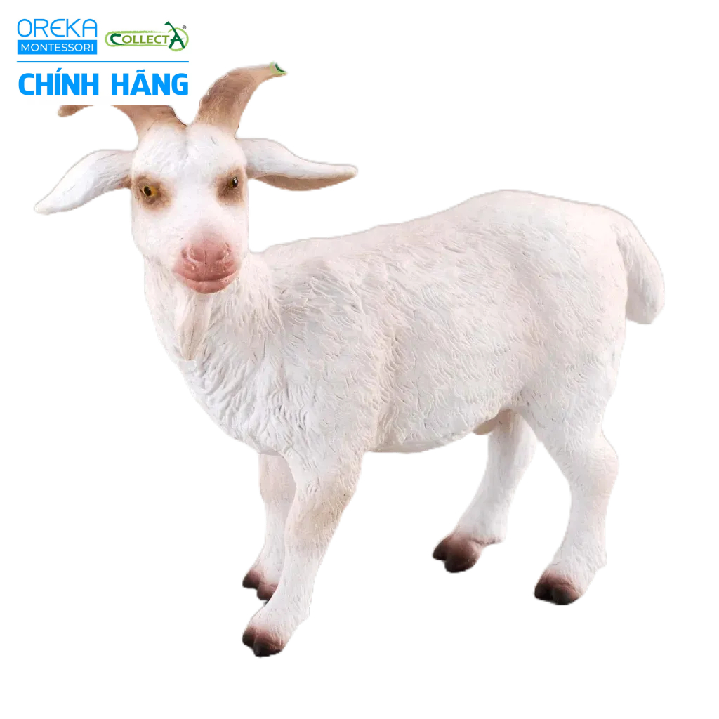 Mô hình động vật: Dê bố