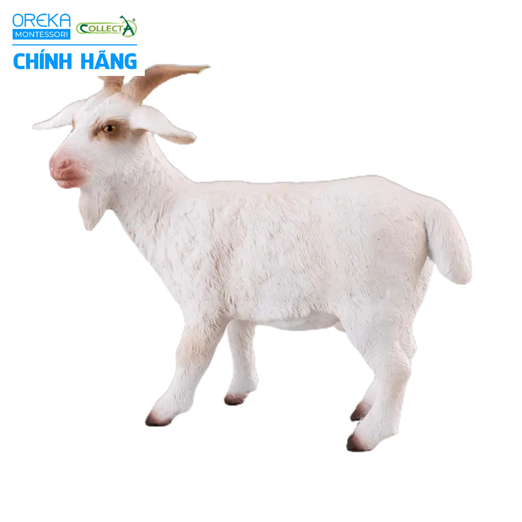 Mô hình động vật: Dê bố