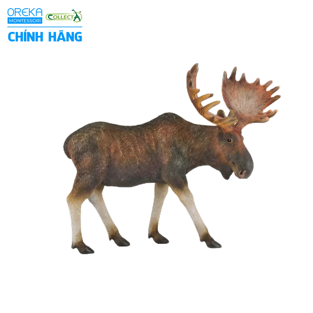 Mô hình động vật: Nai Sừng Tấm