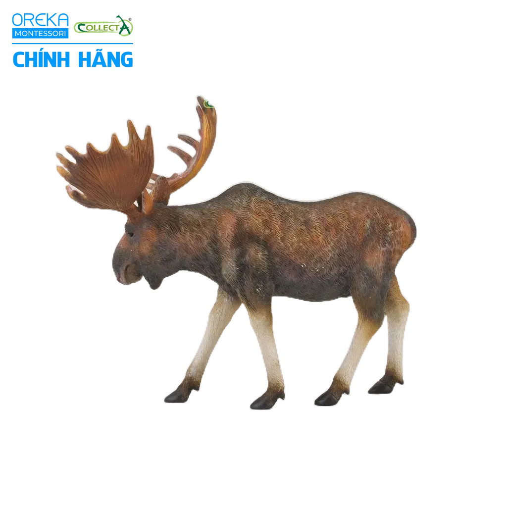 Mô hình động vật: Nai Sừng Tấm