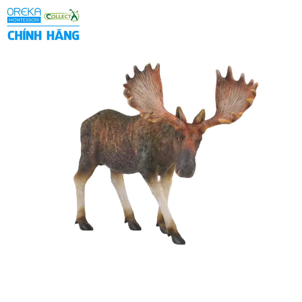 Mô hình động vật: Nai Sừng Tấm