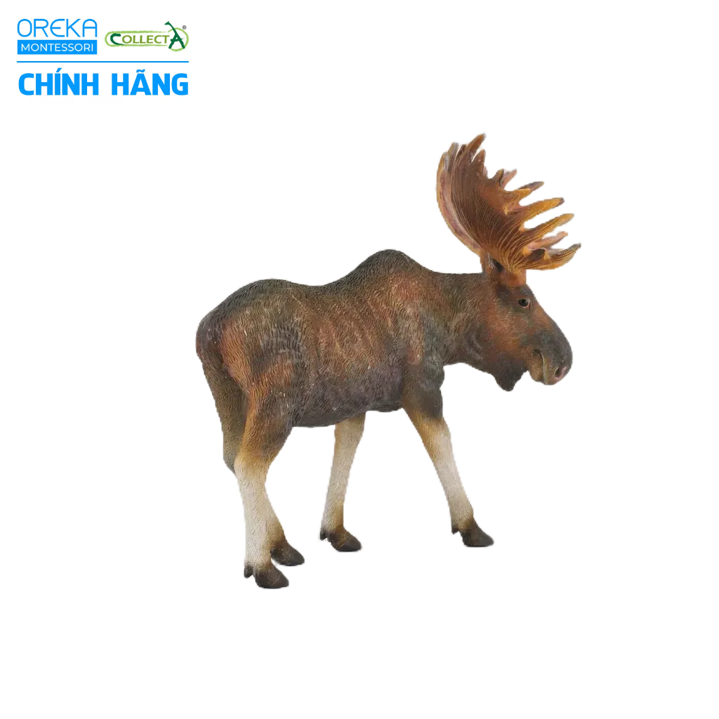 Mô hình động vật: Nai Sừng Tấm