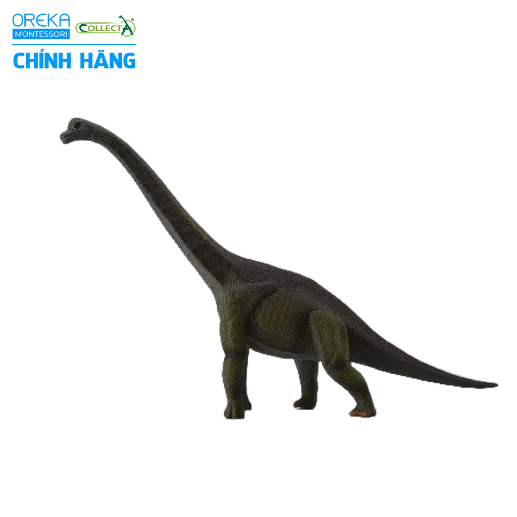Mô hình động vật: Khủng Long Brachiosaurus