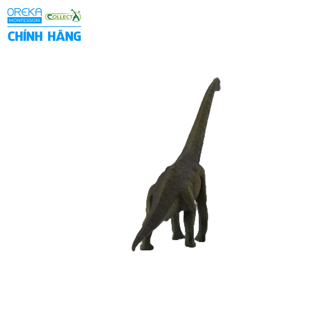 Mô hình động vật: Khủng Long Brachiosaurus