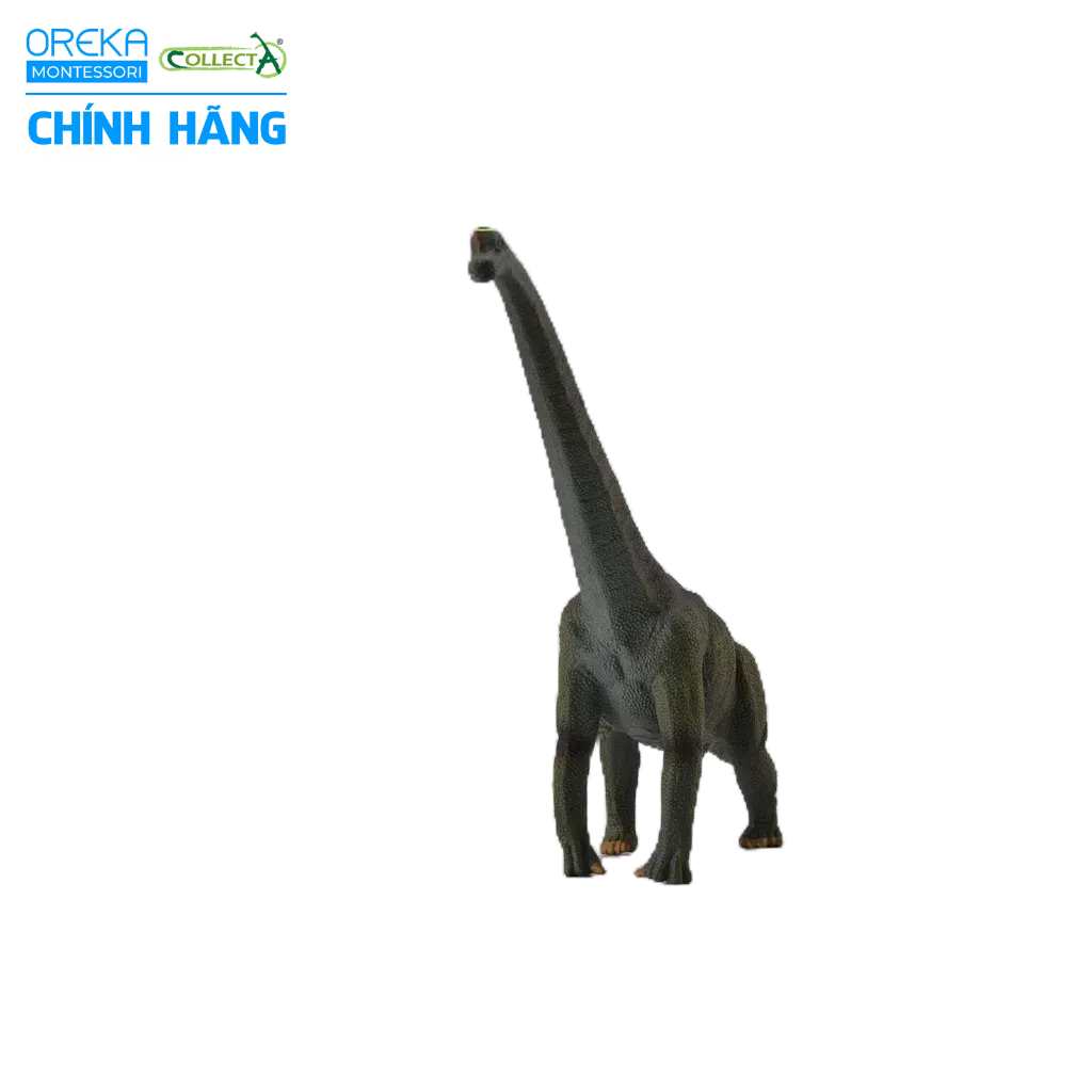 Mô hình động vật: Khủng Long Brachiosaurus