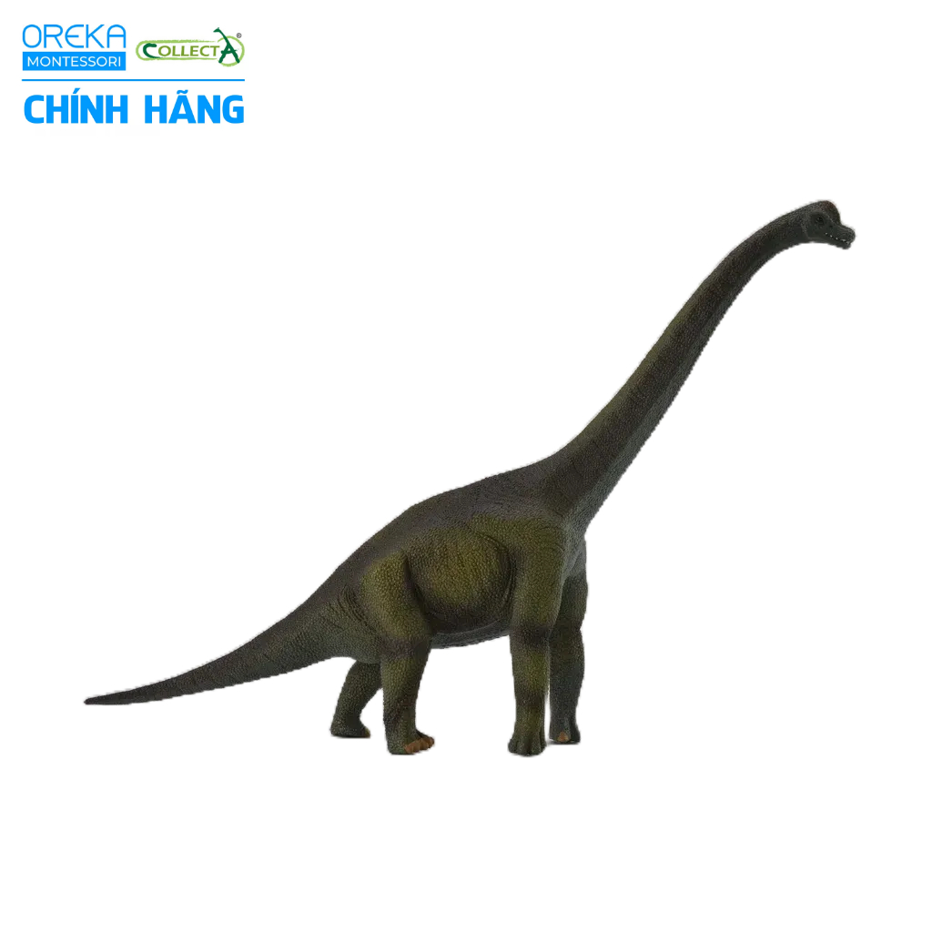 Mô hình động vật: Khủng Long Brachiosaurus
