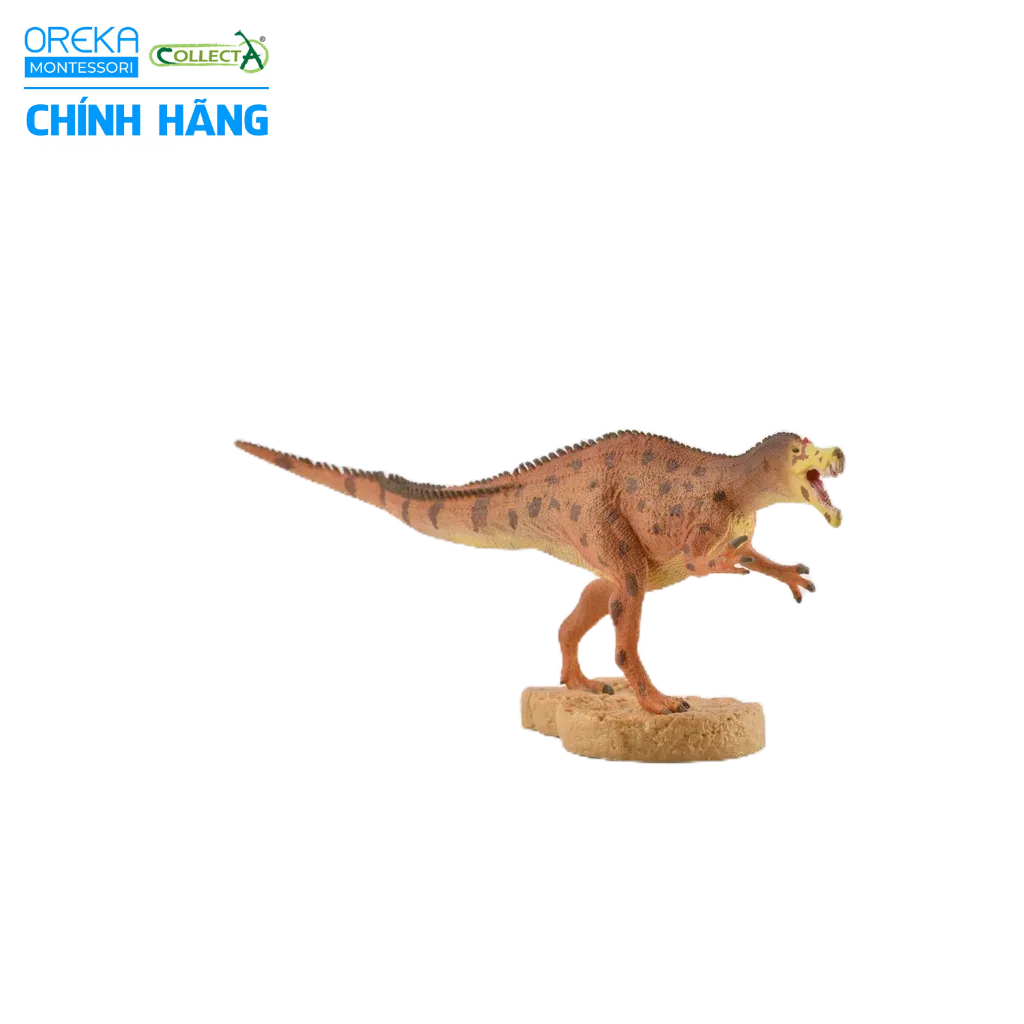 Mô hình động vật: Khủng Long Baryonyx