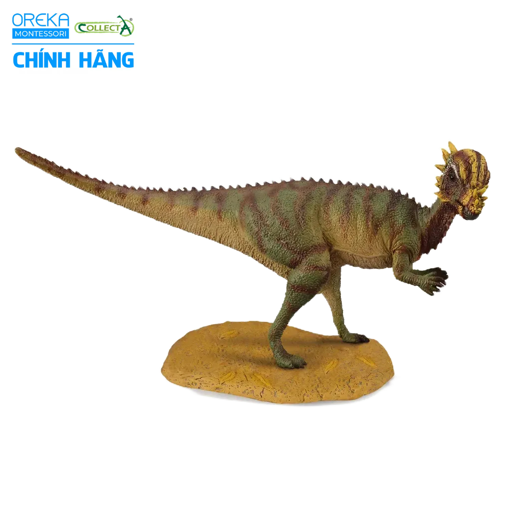 Mô hình động vật: Khủng Long Pachycephalosaurus