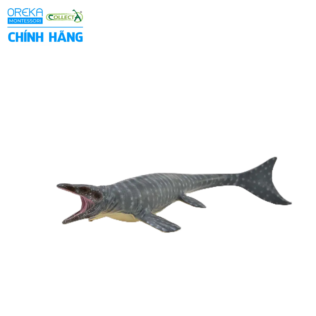 Mô hình động vật: Khủng Long Mosasaurus