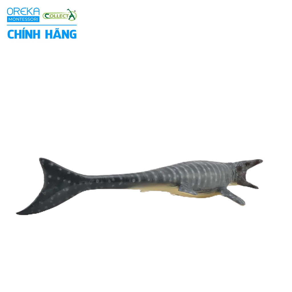 Mô hình động vật: Khủng Long Mosasaurus