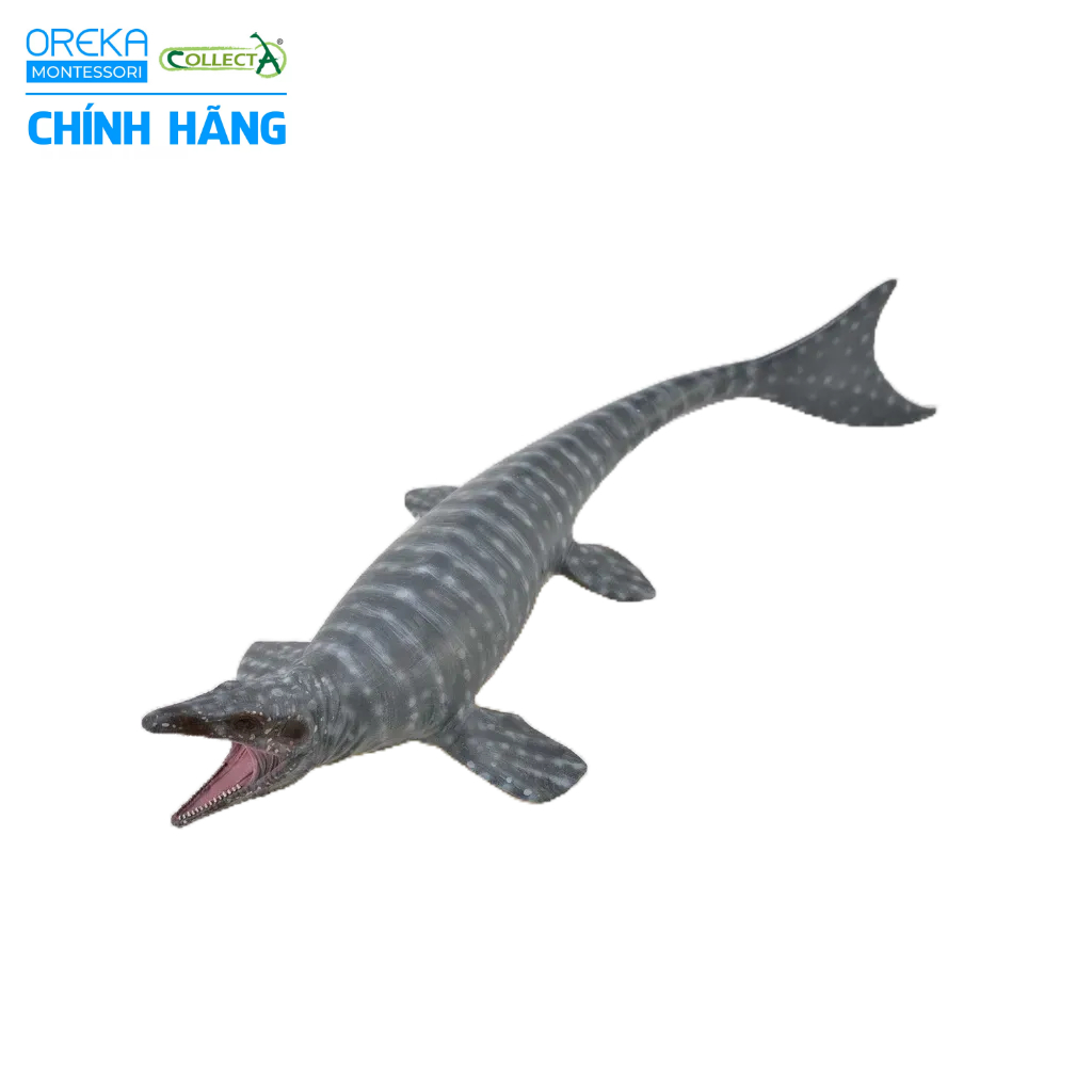 Mô hình động vật: Khủng Long Mosasaurus