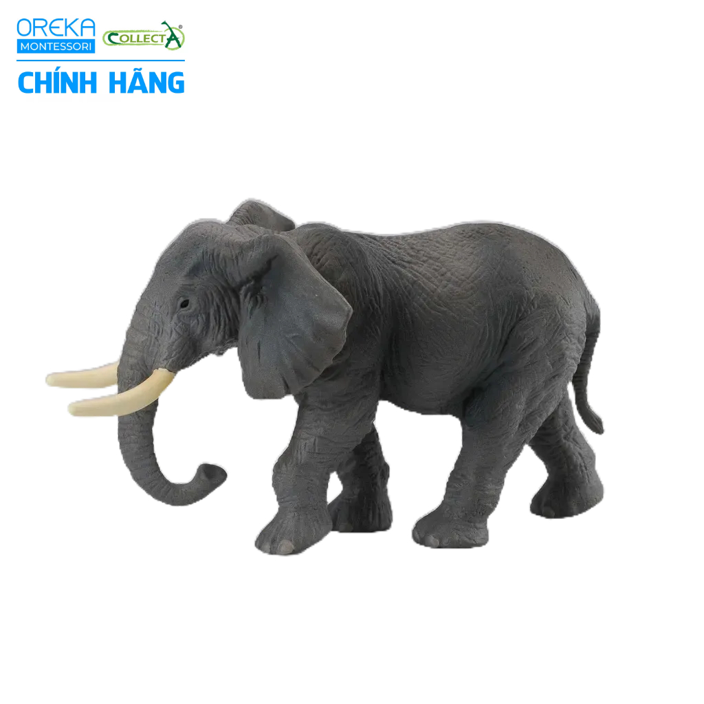 Mô hình động vật: Voi Châu Phi