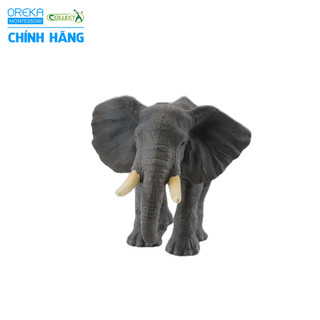 Mô hình động vật: Voi Châu Phi