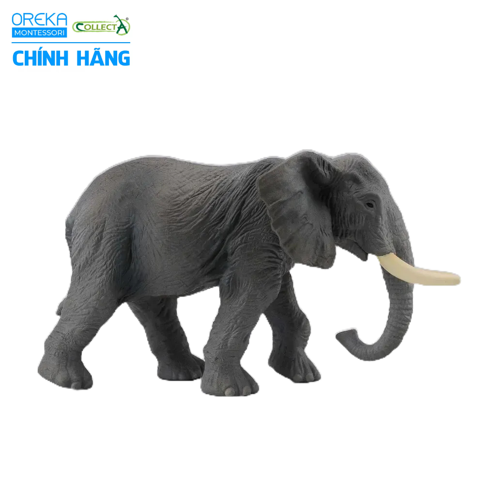 Mô hình động vật: Voi Châu Phi