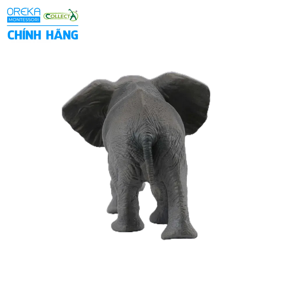 Mô hình động vật: Voi Châu Phi