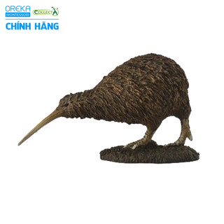 Mô hình động vật: Kiwi