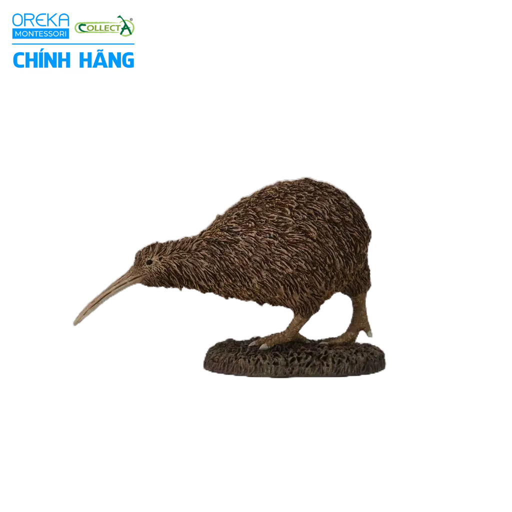 Mô hình động vật: Kiwi