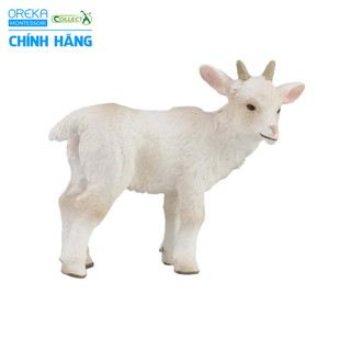 Mô hình động vật: Dê con