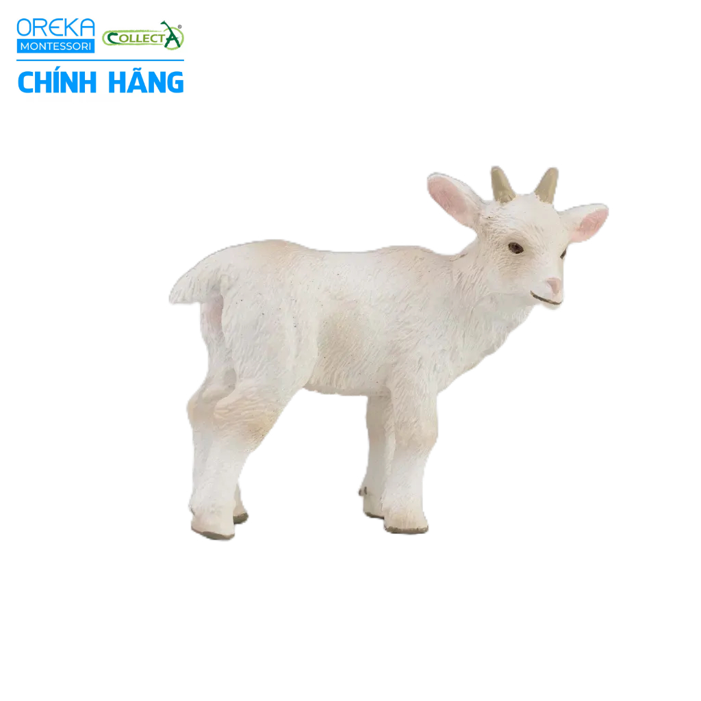 Mô hình động vật: Dê con