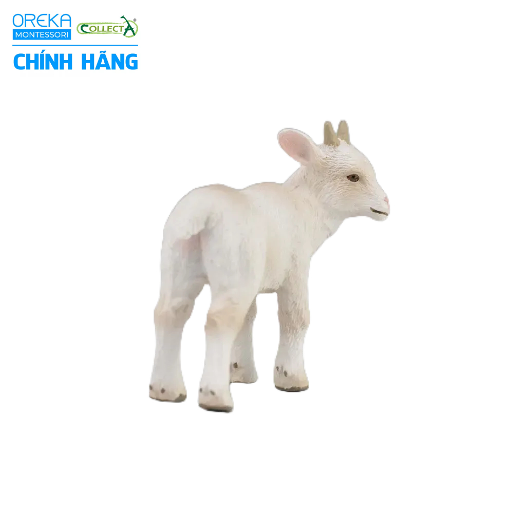 Mô hình động vật: Dê con