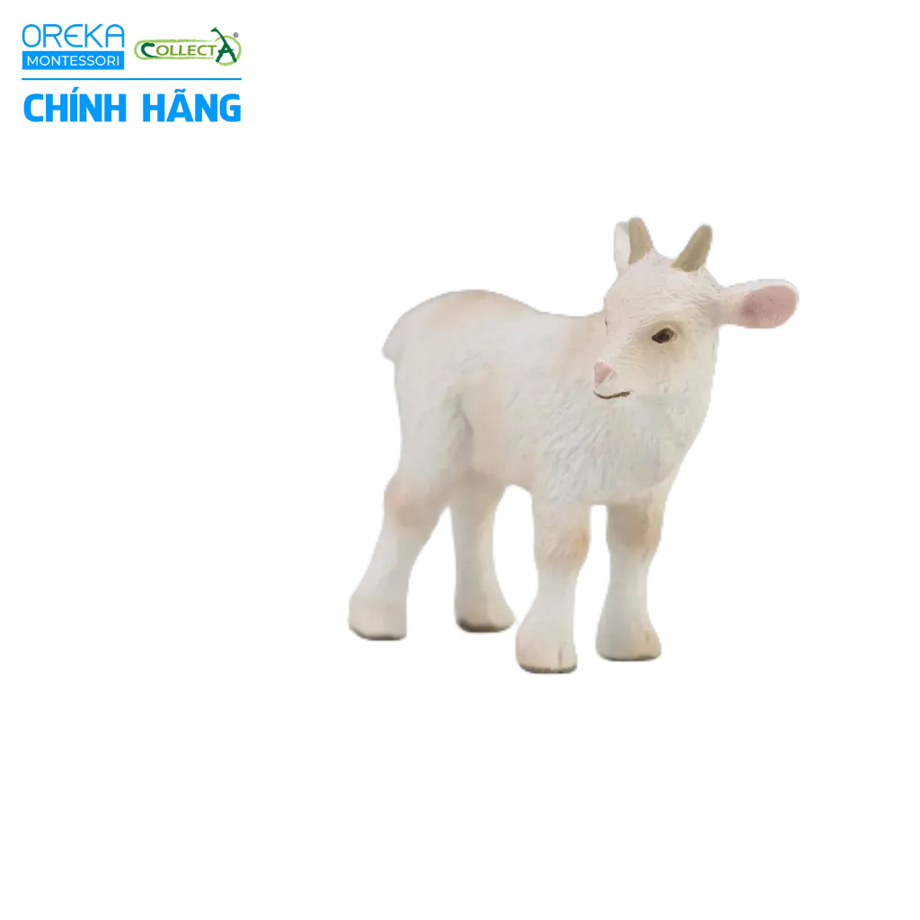 Mô hình động vật: Dê con