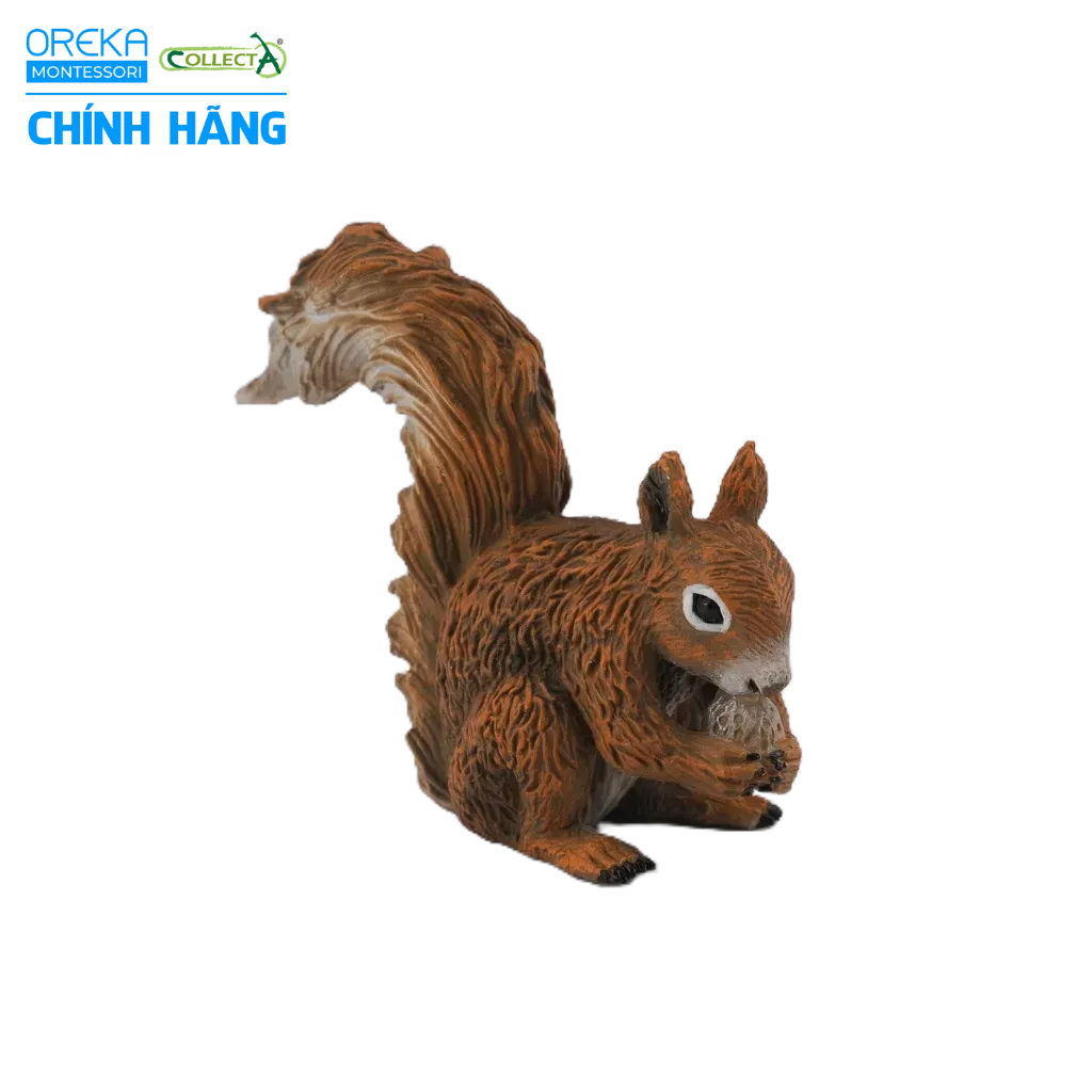 Mô hình động vật: Sóc